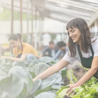 Itinerarios sociolaborales