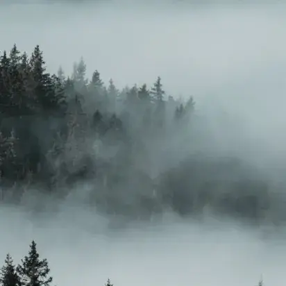 Emaus Gizarte Fundazioa con las empresas de Gipuzkoa