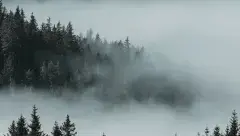 Emaus Gizarte Fundazioa con las empresas de Gipuzkoa